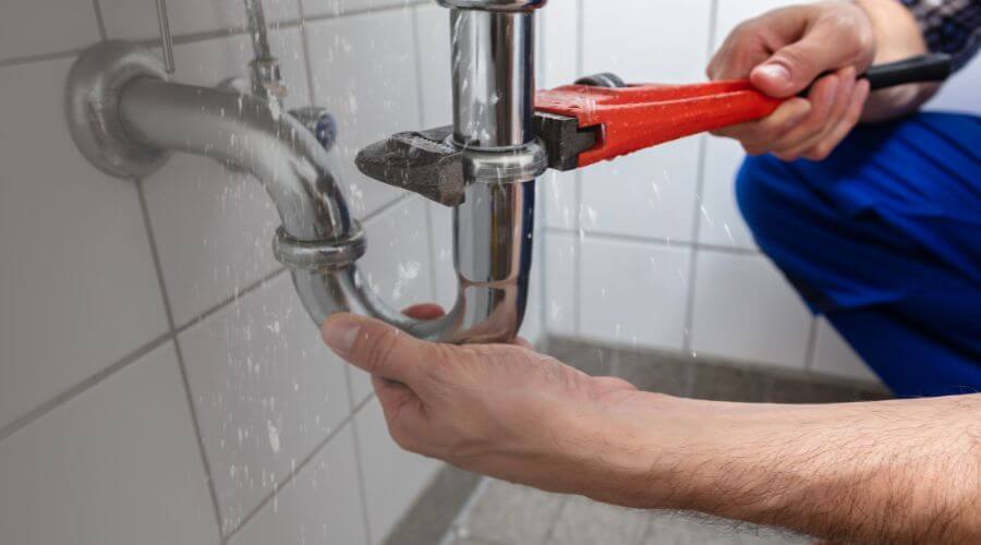 Leak Detection Services in Longbranch, WA